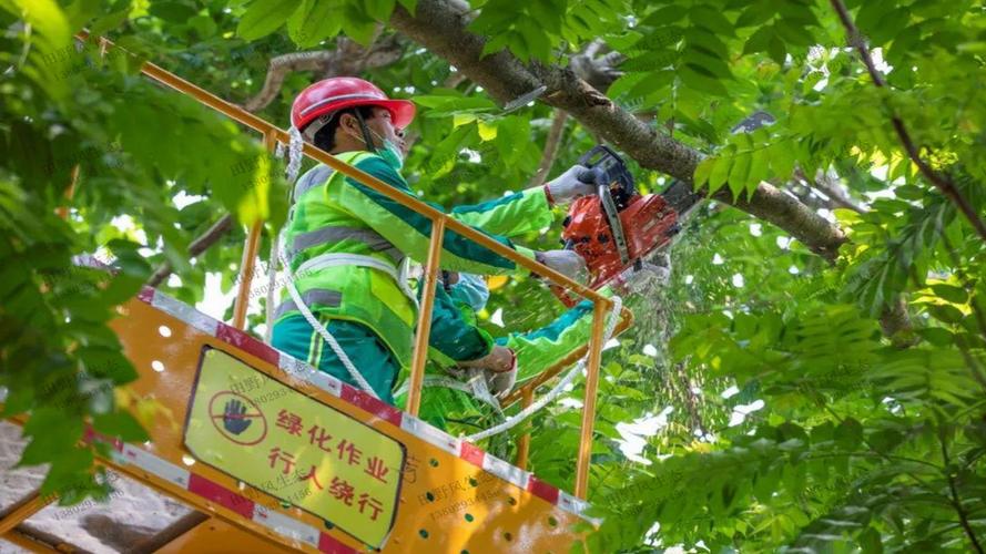 雨水收集系统在绿化养护中的应用价值