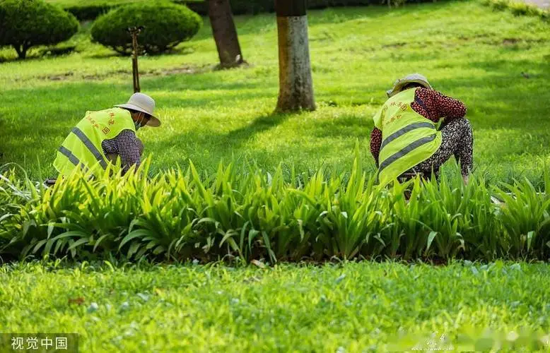 景区绿化工程建造合同范本