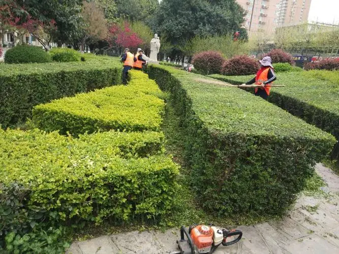 玲姐绿化工程师是谁呀